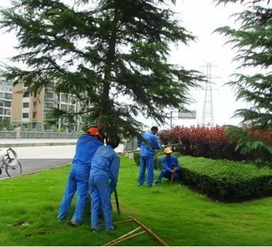 稅改后時代,園林綠化工程利潤達(dá)到多少才不虧本!