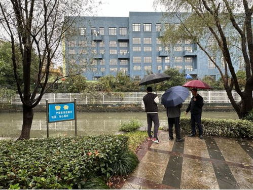 余姚市園林風(fēng)景管理中心對部分公園的綠化補植工程進(jìn)行驗收