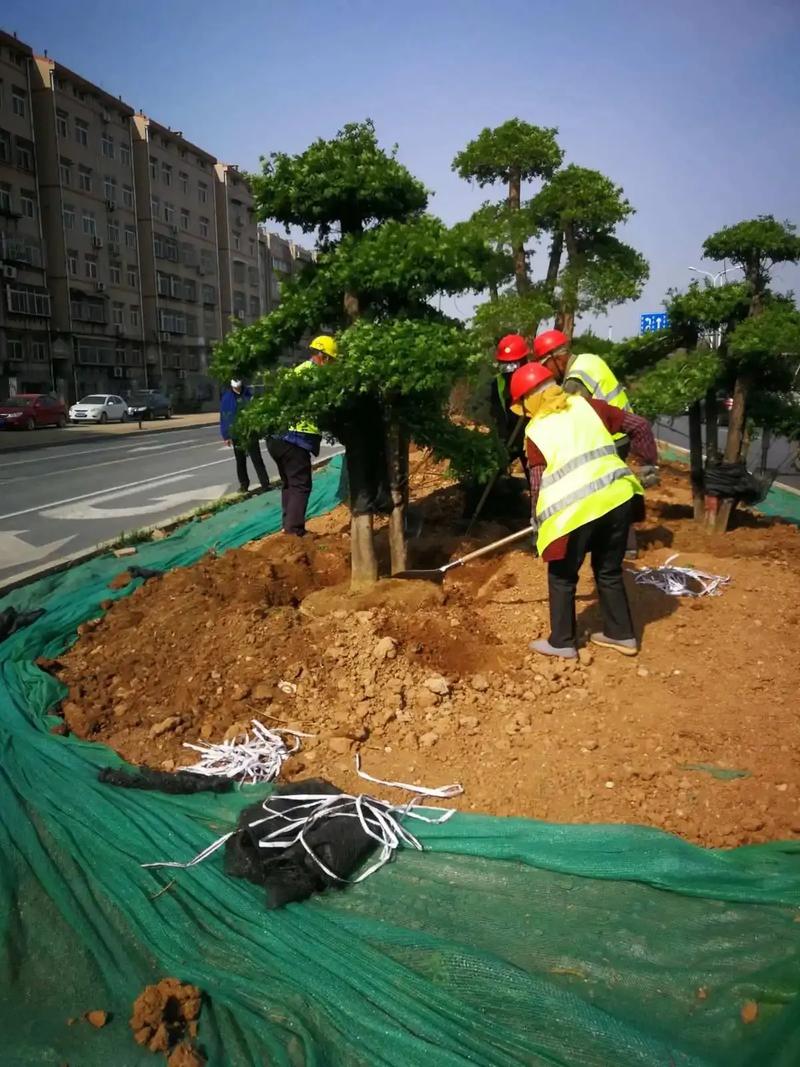 綠化園林工程.綠化園林工程打造美麗環(huán)境,從綠化施工開始.我們