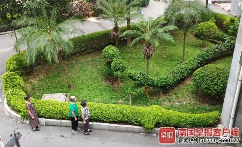 南寧綠化工人五年匠心打造動物世界主題園林，綠色藝術驚艷全城