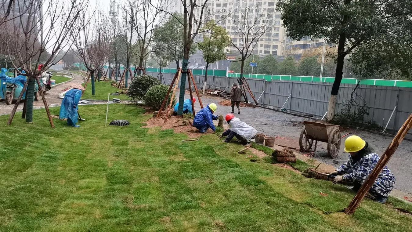 園林景觀綠化工程專業(yè)綠化施工 綠色體育場地設(shè)施建設(shè)的重要助力